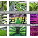 미광목장 이미지