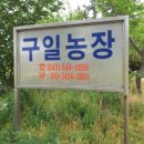 구일농장 이미지