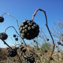 구암동169 이미지