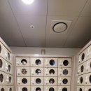 원대휴랜드 | 겨울 캐리비안베이 &amp; 에버랜드 데이트 후기