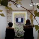 굿바이펫 이미지