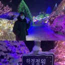 청평역 택시정류소 | 서울 근교 겨울여행지 엄마랑 데이트:: 가평 아침고요수목원, 오색별빛정원전(청평역에서 가는 법)