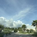 그리너리문팬션 | 제주 서귀포 독채펜션 [그리너리 빌리지] 내돈내산 감성숙소 / 근처 맛집