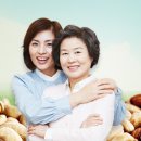 이엔티보청기 이미지