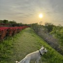 팔봉이 왕짬뽕 이미지