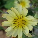 천태농장 이미지