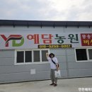 김창원농장 네이버블로그