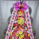 응;꽃 이미지