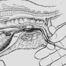강앤정 동물병원 이미지