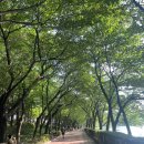 수서한방병원 이미지