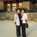 송광초등학교 이미지