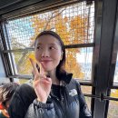 락휴코인노래연습장 숙대입구점 | 오랜만에 동생이랑 남산타워 남산케이블카 가을 나들이