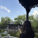 슈틸루스터 헤어스타일러 장점과 단점 찐후기-다이슨 에어랩 저렴이,가성비 제품으로 추천