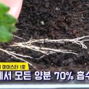풍성농약사 이미지