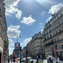 댕스밀 | 빠히 .. 에서 살아남기 ..