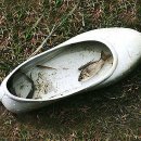 참사랑안경 이미지