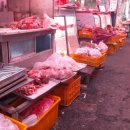 대성싱싱축산 이미지