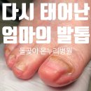 온누리의료재단 이미지