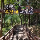 송이목장 Daum카페