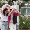 어른의세계