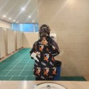 비에스침대 | 홍천 비발디파크&비에스래빗보드복후기