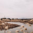 제주수산 이미지