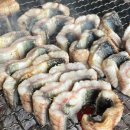 킹덤장어 이미지