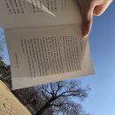 경주시립도서관 화장실 | 경주시립도서관 옆 황성공원 황토길 산책로에서 찾은 여유 한 스푼🌳