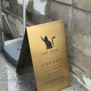 고양이 무마취 미용전문 이미지