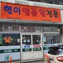 현이양이 이미지