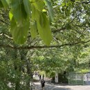 미르오토캠핑장 이미지