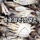 9월 제철 해산물 꽃게 보관법 보관 생물 꽃게 고르는법 이미지