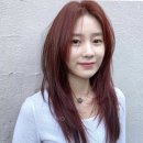 공릉미용실 디플라살롱 염색맛집👩🏻‍🦰 레드브라운 염색