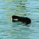 빛가람 호수공원 이미지