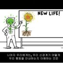 (주)다미개발