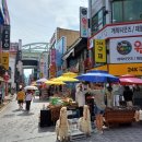 중앙사거리 하나은행 앞 | 대전 0시축제 2025 라인업 기본정보 낮 후기