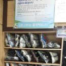 크린토피아면목