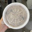 그랜드녹두팥칼국수 이미지