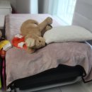 세라젬 인천계양점 | 세라젬 파우제M6 내돈내산 사용후기, 안마 홈케어