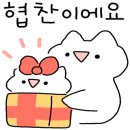 닥터해빛