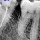 연세한강치과의원 이미지