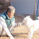 포동이