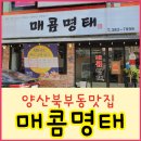 매콤명태