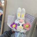 토끼꽃방 이미지