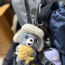 (주)풀바람시스템 | 12월 한라산 관음사→성판악 등산 후기｜눈 덮인 백록담 리벤지 성공!