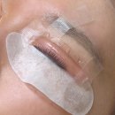 쏘블리 | [울산] 쏘블리뷰티 속눈썹펌 후기 | 울산 삼산동 속눈썹펌