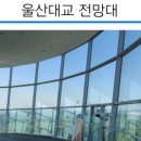 울산대교전망대주차장화장실 이미지