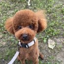 마벨펫 천안점 이미지