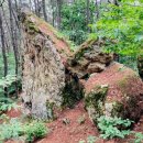 여강길(10-1코스 싸리산길) 이미지