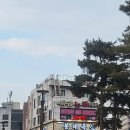 봉래체육관 이미지